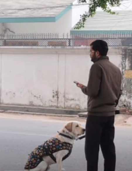 कुत्ते का लाइसेंस