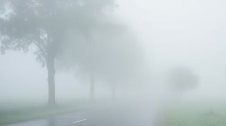 उत्तर प्रदेश में सर्दियों के दौरान घना कोहरा और कम दृश्यता, 31 दिसंबर को कई जिलों में ठंड और कोहरे का असर